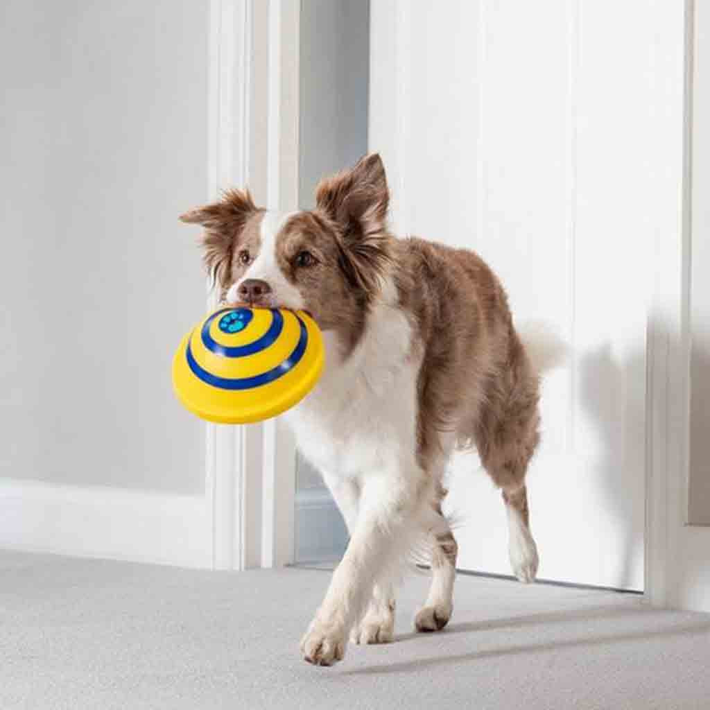 Interacts Woof Glider Sounding Disc Toy