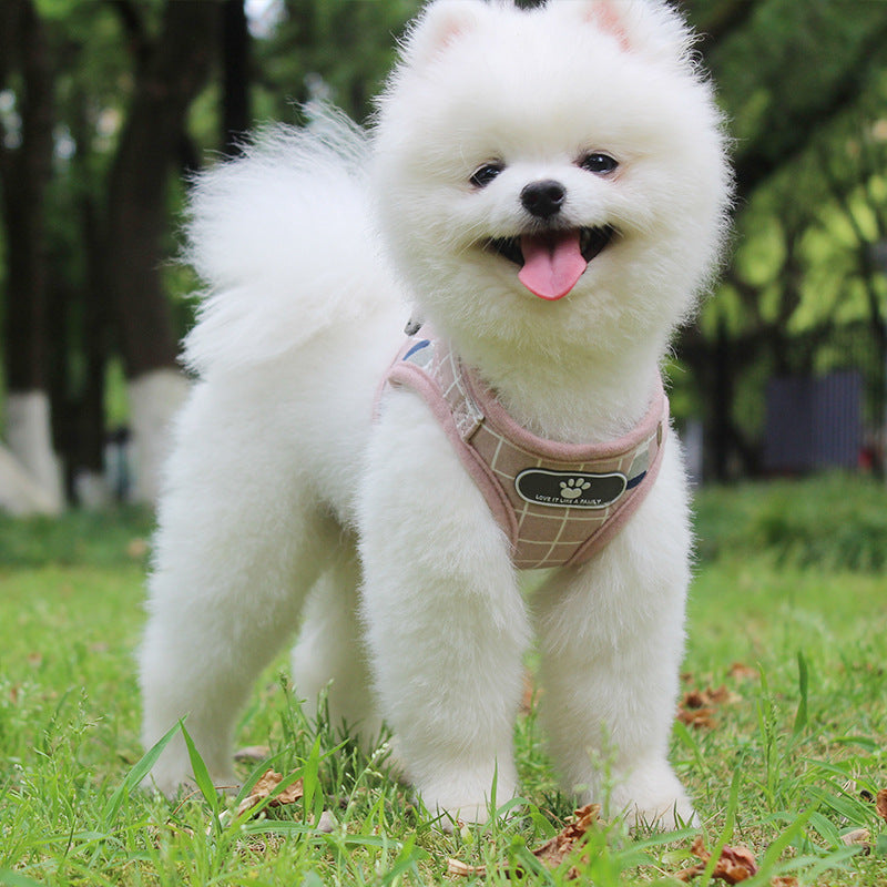 Breathable Mesh Dog Harness and Leash