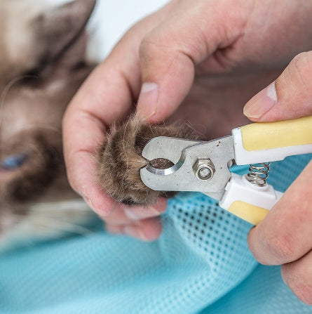 Adjustable Multifunctional Pet Soft Cat Grooming Bag