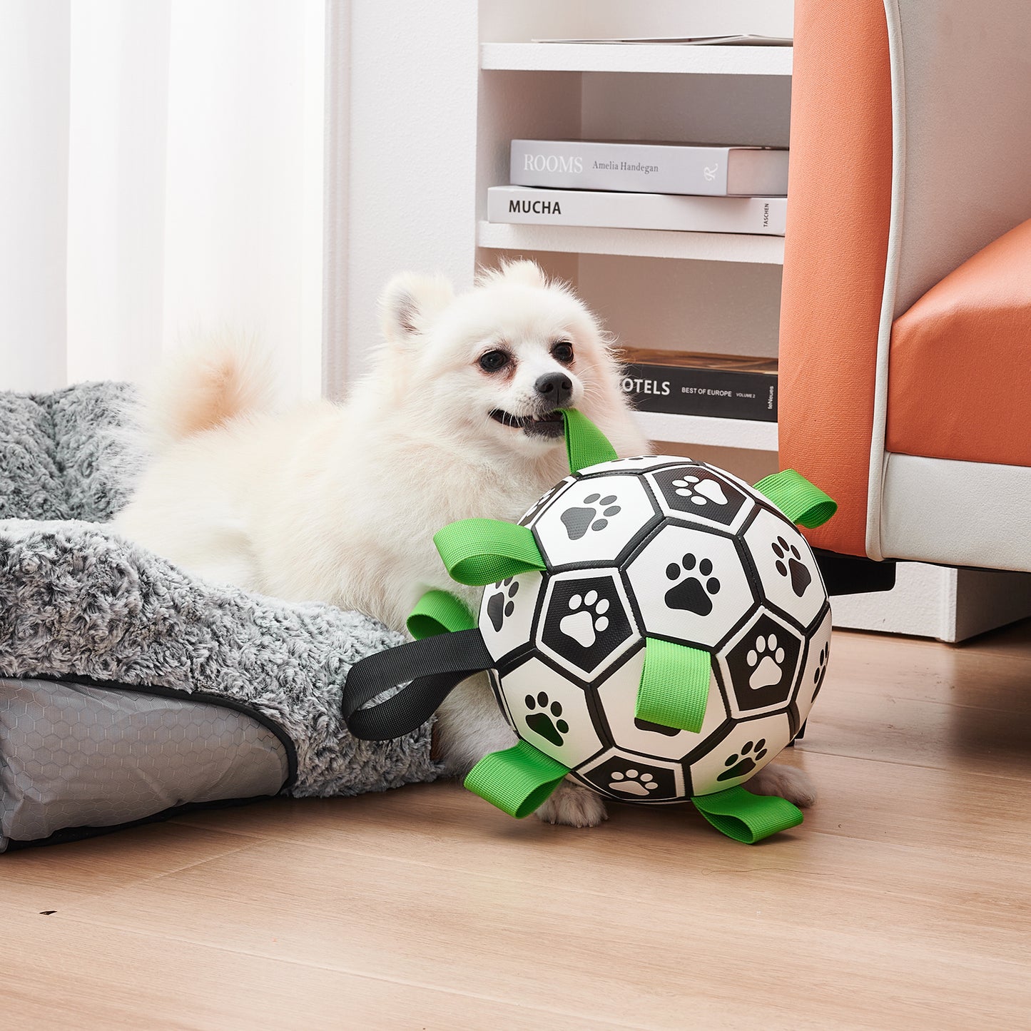 Interactive Dog Soccer Football Toy