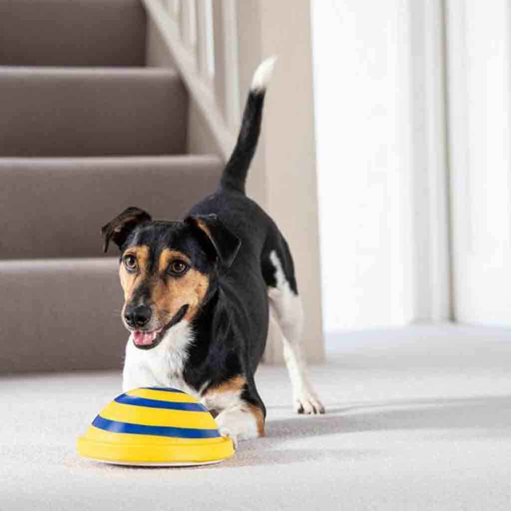 Interacts Woof Glider Sounding Disc Toy