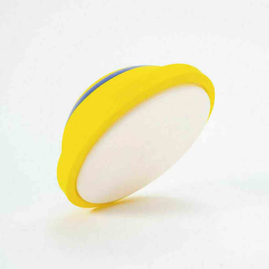 Interacts Woof Glider Sounding Disc Toy