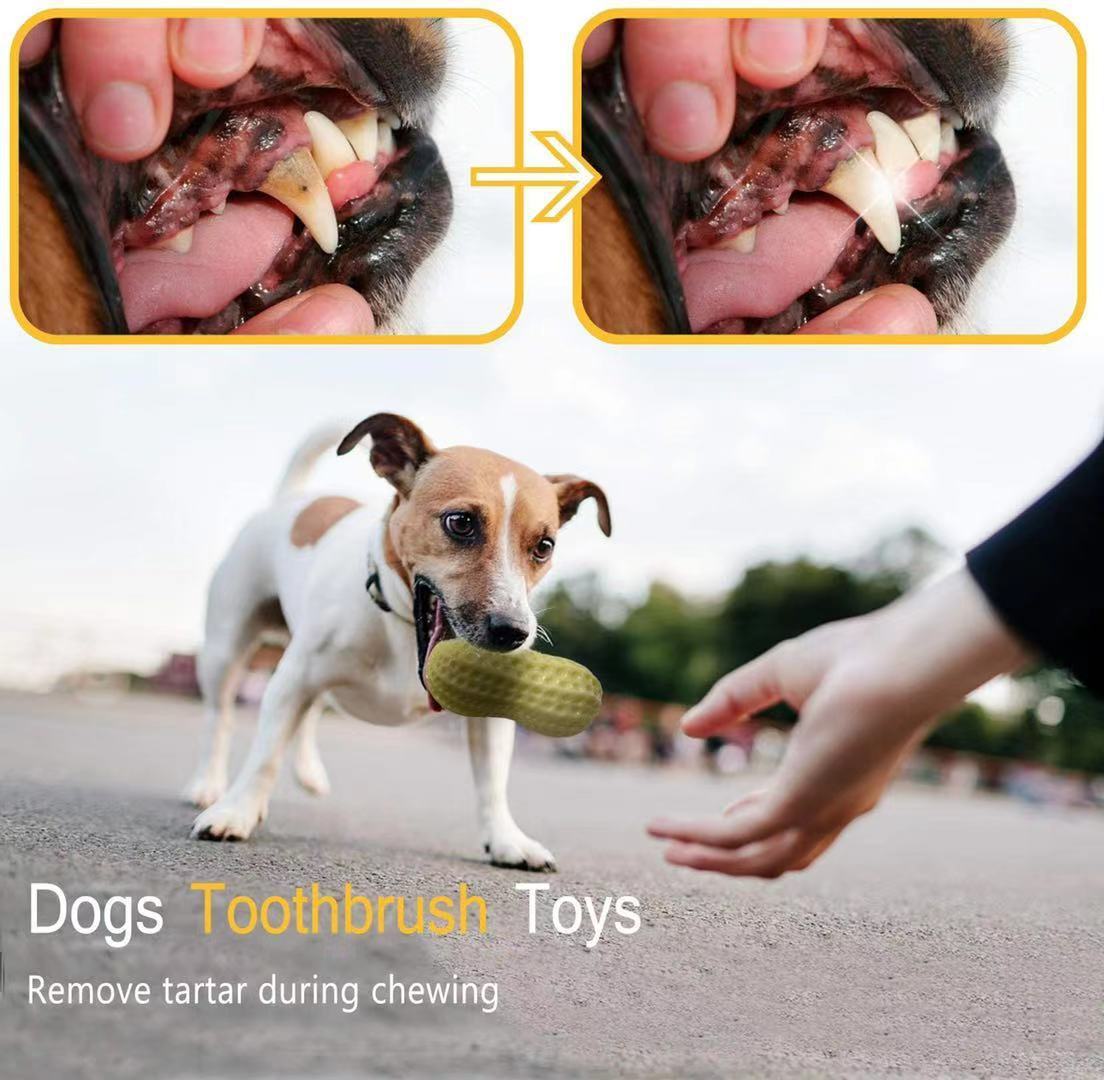 Funny Pet Dog Squeaky Toys For Dogs