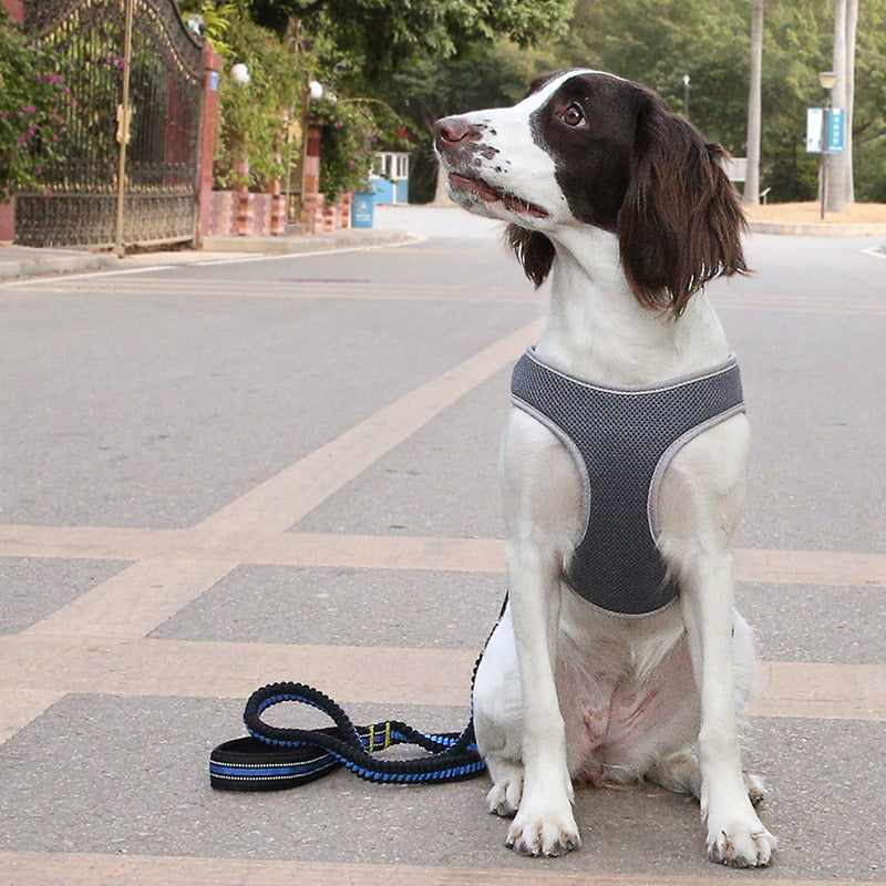 Bullfight Dog Leash Vest Pet Harness