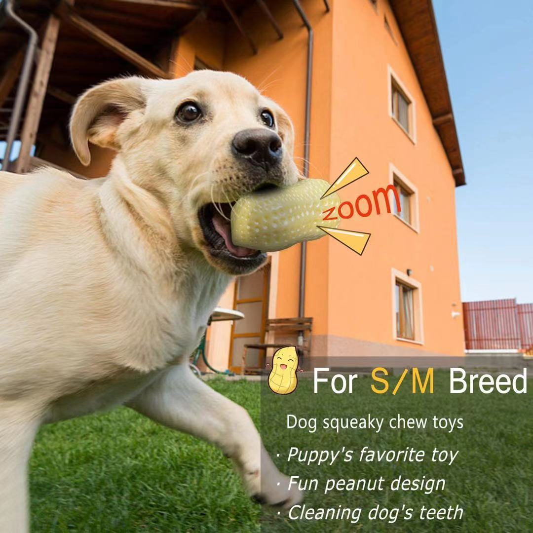 Funny Pet Dog Squeaky Toys For Dogs
