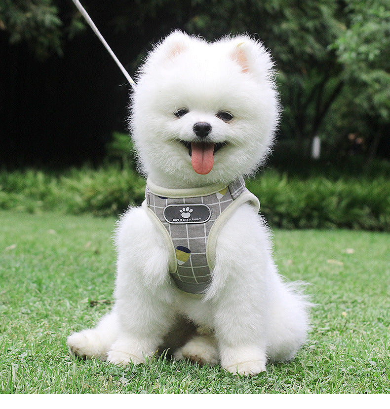 Breathable Mesh Dog Harness and Leash