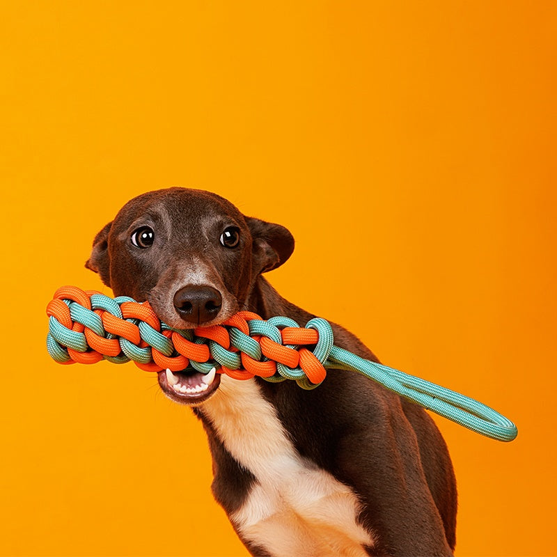 Interactive Pet Dog Knot Toy