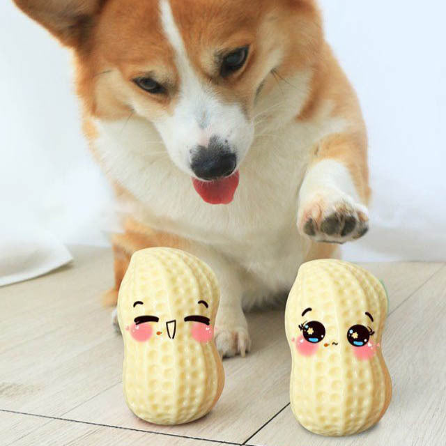 Funny Pet Dog Squeaky Toys For Dogs
