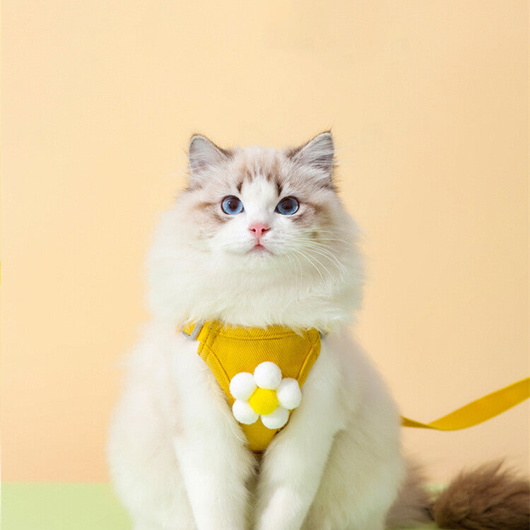 Anti-breakaway Chest Harness Cat Leash
