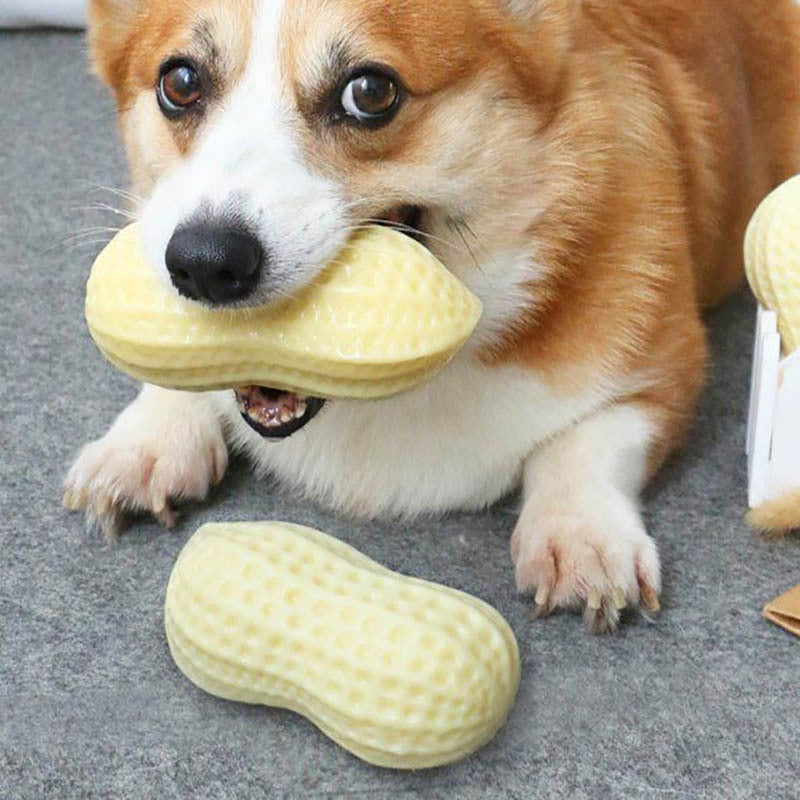 Funny Pet Dog Squeaky Toys For Dogs