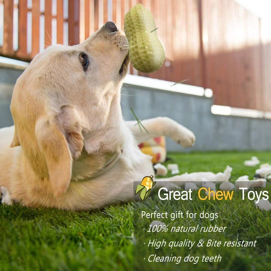 Funny Pet Dog Squeaky Toys For Dogs