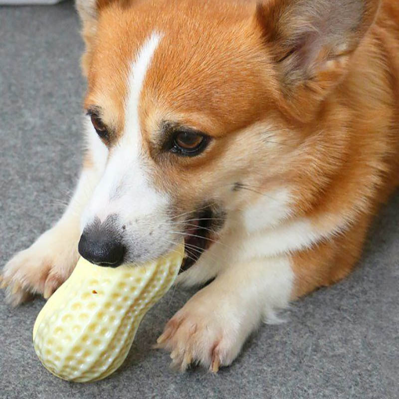Funny Pet Dog Squeaky Toys For Dogs