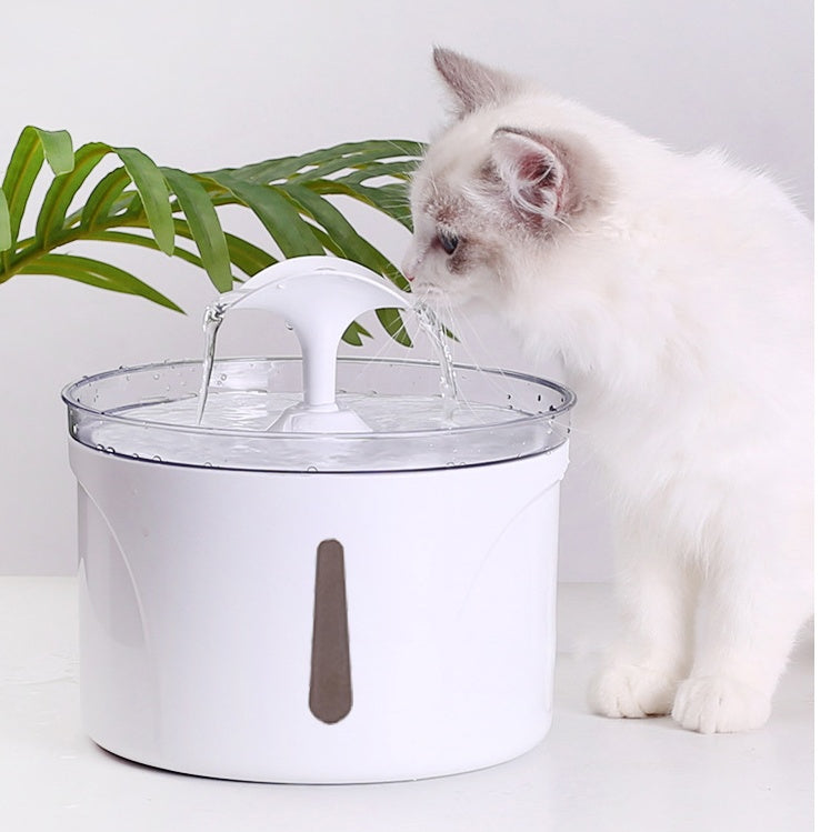 Automatic Circulating Pet Water Dispenser