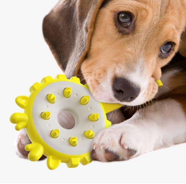 Ring Dog Training Bite Resistance Toothbrush