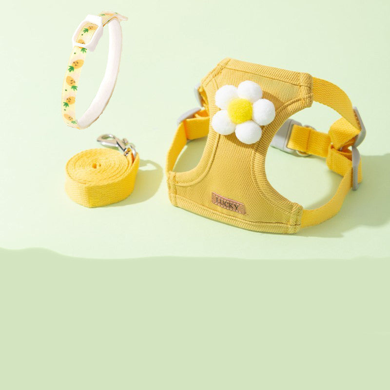 Anti-breakaway Chest Harness Cat Leash