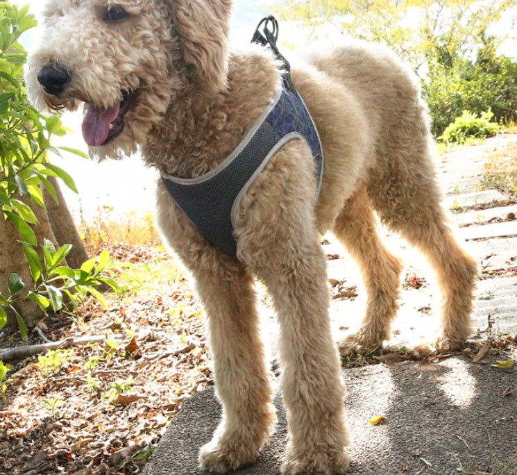 Bullfight Dog Leash Vest Pet Harness