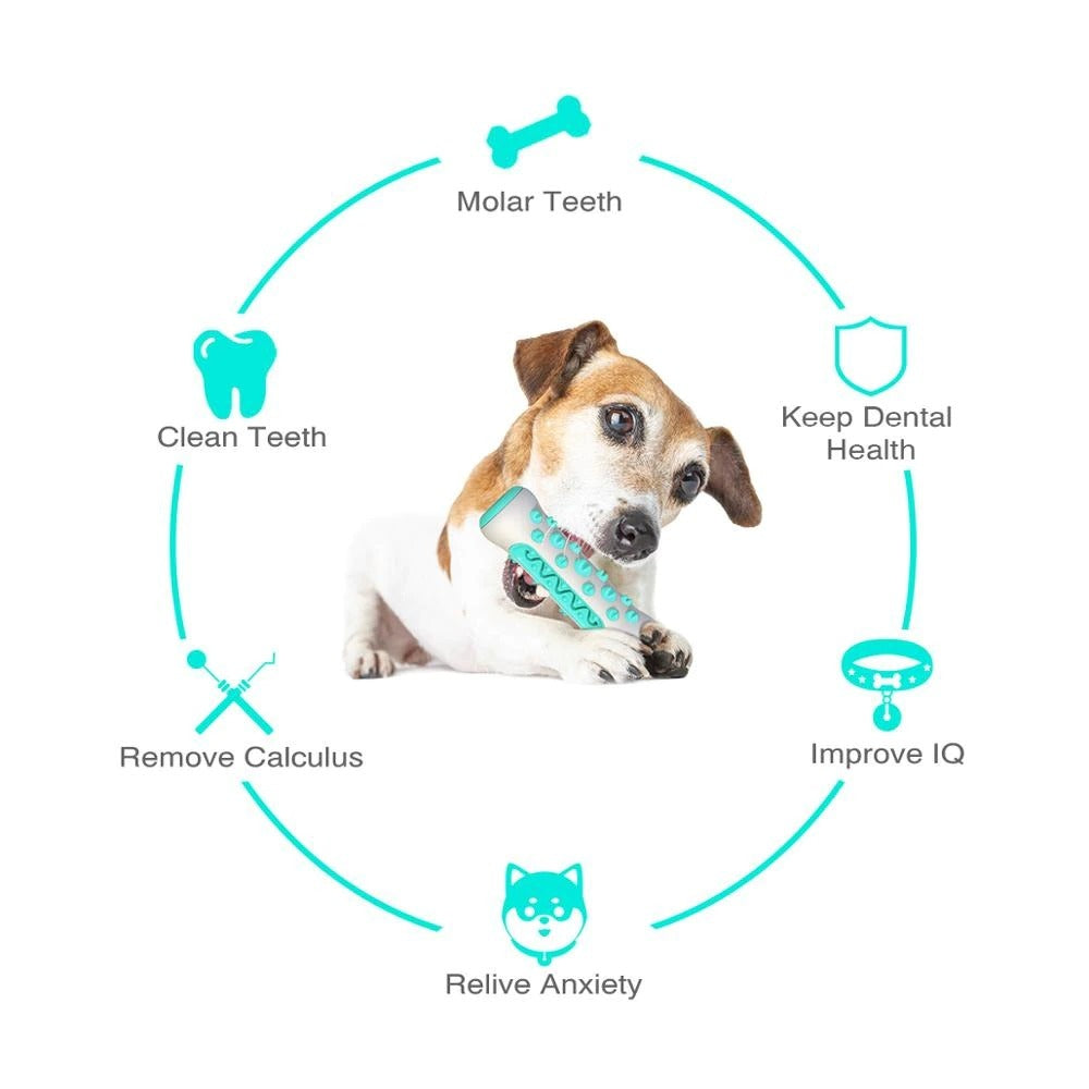 Indestructible Rubber Dog Squeaky Toys For Chewer